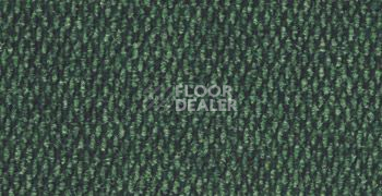 Ковролин Sintelon Favorit 1204 фото 1 | FLOORDEALER