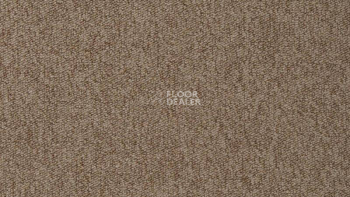 Ковролин Vorwerk Passion 1005 Vorwerk 7f85 фото 1 | FLOORDEALER