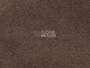 Ковролин Balta Wild Luxury Paddington 48 фото 1 | FLOORDEALER