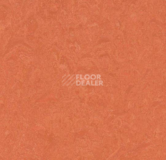 Кварцвиниловые полы Forbo Marmoleum Modular Colour 3243 фото 1 | FLOORDEALER