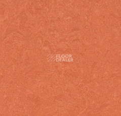 Кварцвиниловые полы Forbo Marmoleum Modular Colour 3243 фото 1 | FLOORDEALER