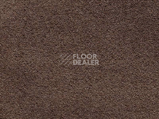 Ковролин Balta Wild Luxury Paddington 48 фото 1 | FLOORDEALER