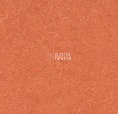 Кварцвиниловые полы Forbo Marmoleum Modular Colour 3243 фото 1 | FLOORDEALER