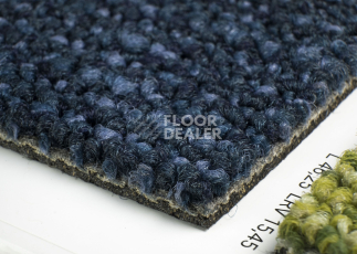 Desso Desert 8811 фото 5 | FLOORDEALER