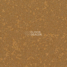 Ковровая плитка Desso Retrace ac 63 6022 фото 1 | FLOORDEALER