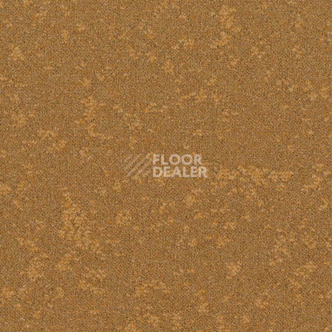 Ковровая плитка Desso Retrace ac 63 6022 фото 1 | FLOORDEALER