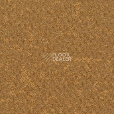 Ковровая плитка Desso Retrace ac 63 6022 фото 1 | FLOORDEALER