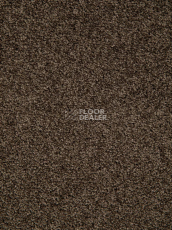 Haima Noble 67 фото 8 | FLOORDEALER