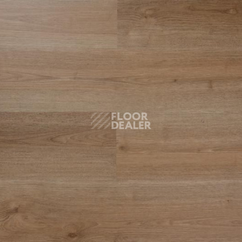 Кварцвиниловые полы Evofloor Optima Click 4.2мм Дуб Миндаль фото 1 | FLOORDEALER