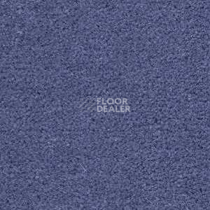 Ковролин Radici Montecarlo 31 фото 1 | FLOORDEALER