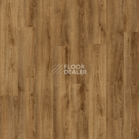 Moduleo Next дерево Shelby Oak 853 фото 3 | FLOORDEALER