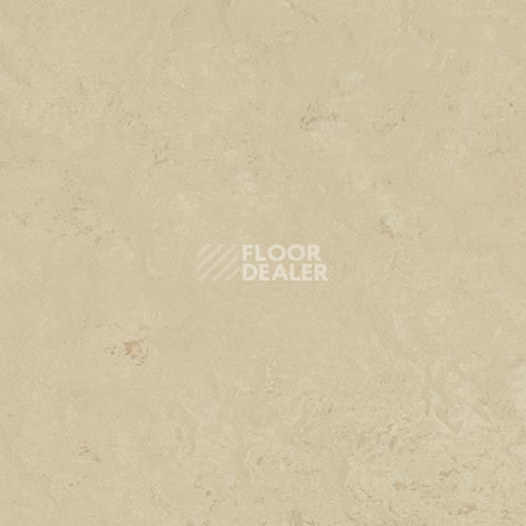 Линолеум Forbo Marmoleum Sport 83711 фото 1 | FLOORDEALER