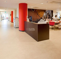 Forbo Marmoleum Marbled Real 3120 / 312035 Rosato фото 2 | FLOORDEALER