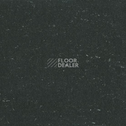 Линолеум Gerflor Colorette 0081 Private Black фото 1 | FLOORDEALER