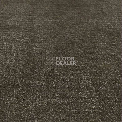Ковролин Jacaranda Carpets Simla Fern фото 1 | FLOORDEALER