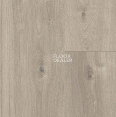 Parador Basic Plus 600 XS 1744356 Дуб Мистраль Серый фото 2 | FLOORDEALER