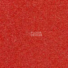 Ковролин Radici Montecarlo 53 фото 1 | FLOORDEALER