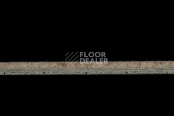 Forbo Flotex Colour s 482018 Penang Bamboo фото 3 | FLOORDEALER