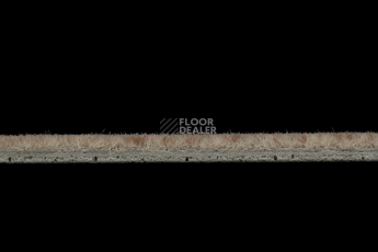 Forbo Flotex Colour s 482018 Penang Bamboo фото 3 | FLOORDEALER
