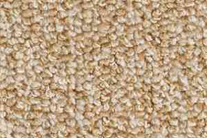 Ковролин Balsan Centaure Deco 648 фото  | FLOORDEALER