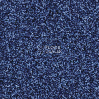 Ковролин Balsan Script 160 фото 1 | FLOORDEALER