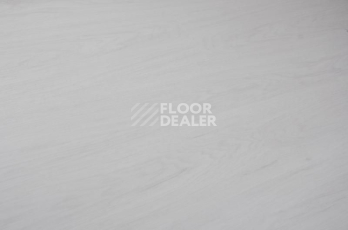 Кварцвиниловые полы Evofloor Optima Click 4.2мм Дуб Арктический фото 1 | FLOORDEALER