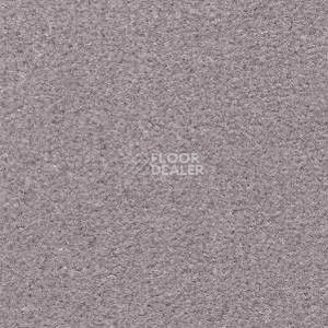 Ковролин Radici Montecarlo 81 фото 1 | FLOORDEALER