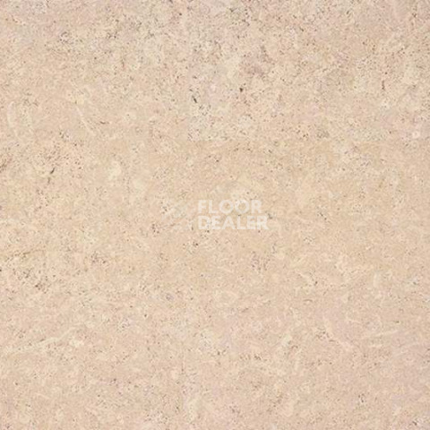 Eco Cork замковое Madeira Crème фото 2 | FLOORDEALER