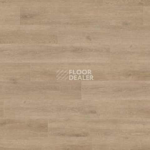 Ламинат Haro Tritty 200 Aqua 4V ДУБ ВЕНЕТО КРЕМОВЫЙ 541560 фото 1 | FLOORDEALER