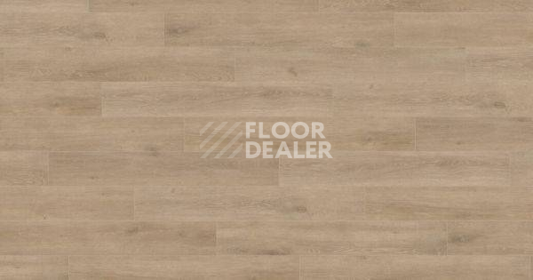 Ламинат Haro Tritty 200 Aqua 4V ДУБ ВЕНЕТО КРЕМОВЫЙ 541560 фото 1 | FLOORDEALER
