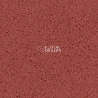 Линолеум Tarkett Primo Plus 306 фото 1 | FLOORDEALER
