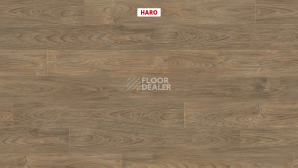 Ламинат Haro Tritty 100 4V Вяз Варио 544720 фото 2 | FLOORDEALER