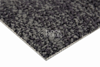 Neuflor City 2009-13 фото 4 | FLOORDEALER