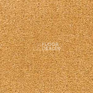 Ковролин Radici Montecarlo 18 фото 1 | FLOORDEALER