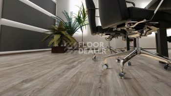 Kronotex Aqua Amazone 10мм D3662 Дуб Монтмело серебряный фото 2 | FLOORDEALER