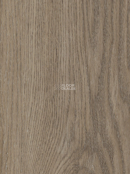 Кварцвиниловые полы AW Invictus Primus Plank Sherwood Oak Mink фото 1 | FLOORDEALER