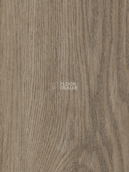 Кварцвиниловые полы AW Invictus Primus Plank Sherwood Oak Mink фото 1 | FLOORDEALER