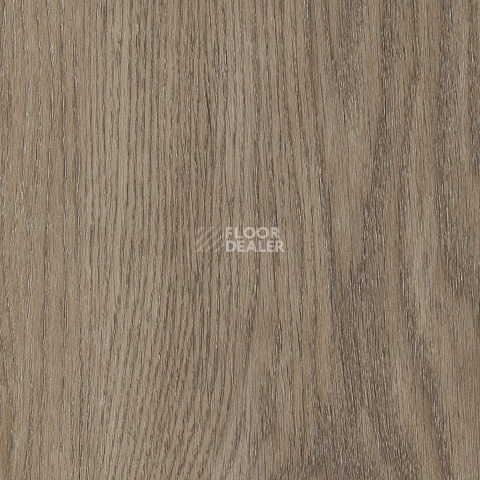 Кварцвиниловые полы AW Invictus Primus Plank Sherwood Oak Mink фото 1 | FLOORDEALER