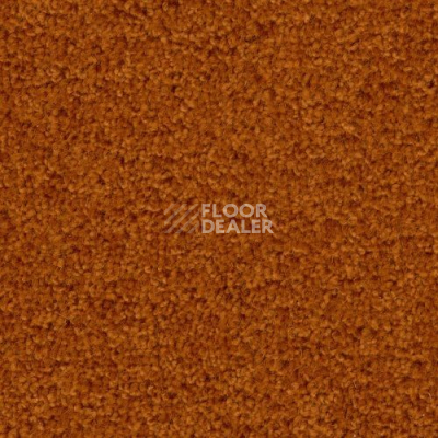 Ковролин Creatuft Ceres 3333 фото 1 | FLOORDEALER