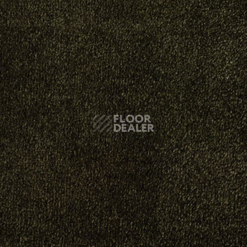 Ковролин ITC Natural Luxury Flooring Chamonix Chamonix 190522 Emerald фото 1 | FLOORDEALER