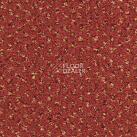 Ковролин Balsan Signature Confort + 567 фото 1 | FLOORDEALER