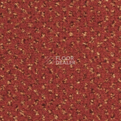 Ковролин Balsan Signature Confort + 567 фото 1 | FLOORDEALER