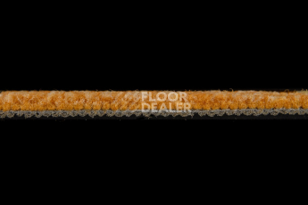 IVC Alternate 232 фото 4 | FLOORDEALER