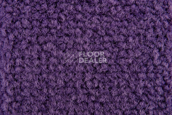 Balsan Les Best 886 фото 2 | FLOORDEALER