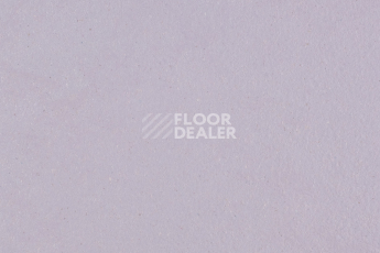Линолеум Forbo Marmoleum Solid Walton 3363-336335 lilac фото 1 | FLOORDEALER