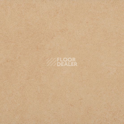 Линолеум Gerflor Taralay Initial Compact (Plain & allover look) 0950 Miami Sable фото 1 | FLOORDEALER