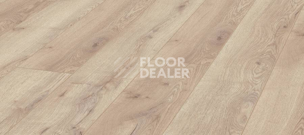 Ламинат Kronotex Mammut d4728 Дуб Горный Бежевый фото 1 | FLOORDEALER
