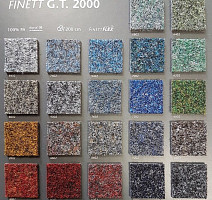 Finett G.T. 2000