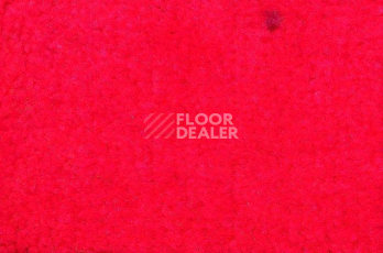 Ковролин Дюна Тафт Неон Тигр 606 фото 1 | FLOORDEALER