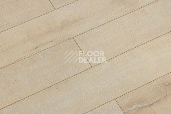 Ламинат Biela Cbm Silence 10мм 717-10 Ванильный Дуб Рустик фото 1 | FLOORDEALER